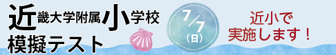 近小模試
