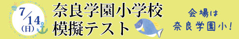 近小模試